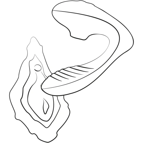 ROMP Reverb G-Spot &amp; Clitoral Suction Stimulator
