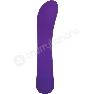 Adam Eve Eve s Orgasmic G Purple G Spot Vibrator