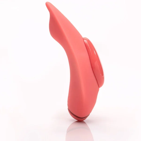 Companion Panty Vibe — image 12 of 25