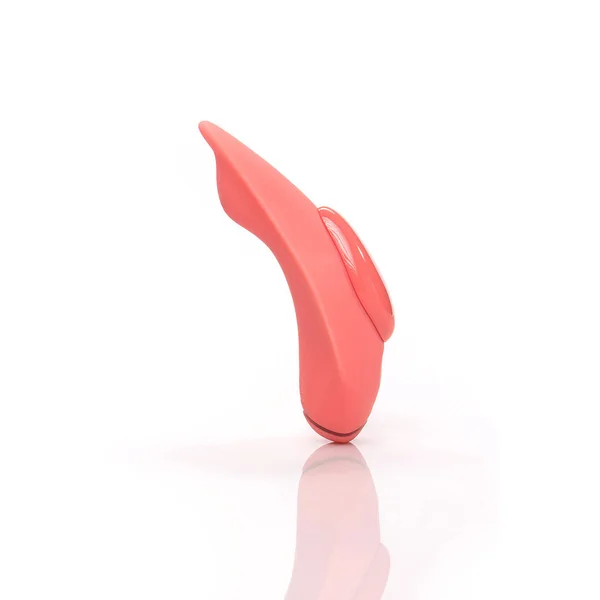 Companion Panty Vibe — image 20 of 25