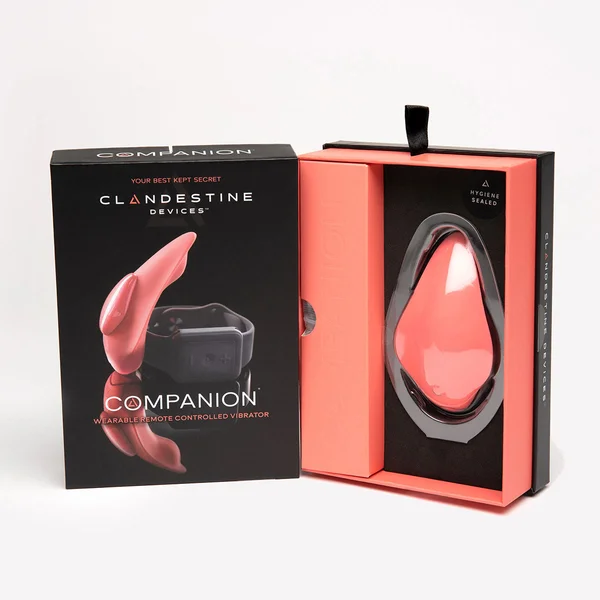 Companion Panty Vibe — image 16 of 25