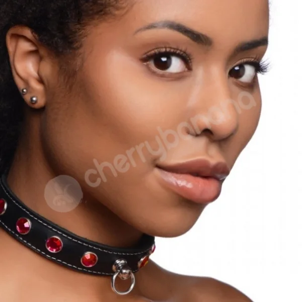 Master Series Bling Vixen Leather Adjustable Choker W/ Purple Rhinestones