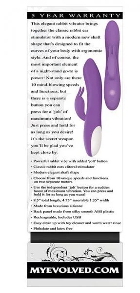 Romantic Rabbit Vibrator Purple — image 4 of 8