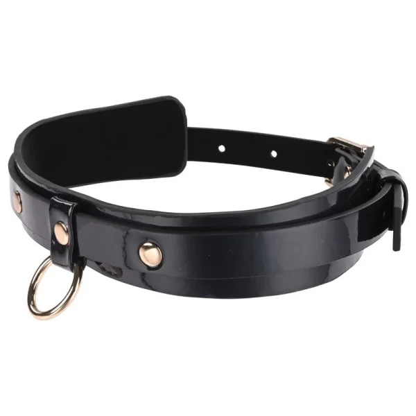 Sex & Mischief Orbit Day Collar By Sportsheets