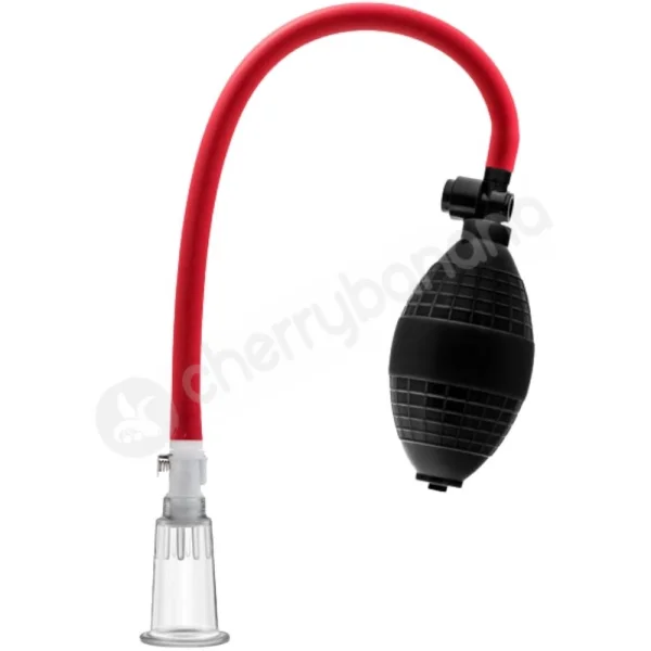 Temptasia beginner's clitoral pumping system