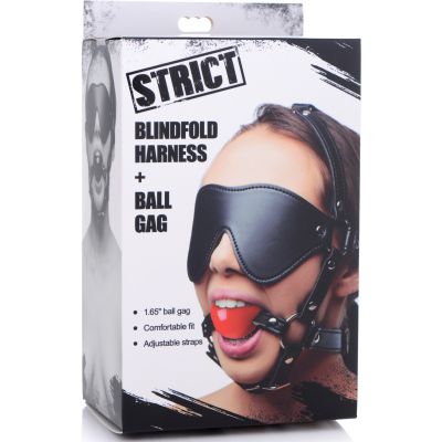Blindfold Ball Gag Combo Kit
