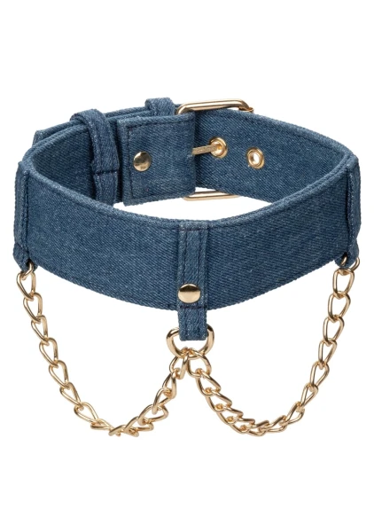 Ride 'em Premium Denim Collection Collar with Leash