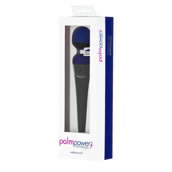 Palm Power Rechargeable Massage Wand