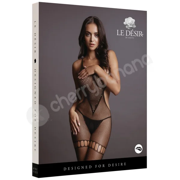 Le Desir Fishnet & Net Bodystocking