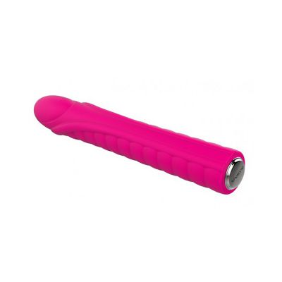 Nalone Dixie Silicone Bullet 20 Function Usb Rechargeable Waterproof Pink