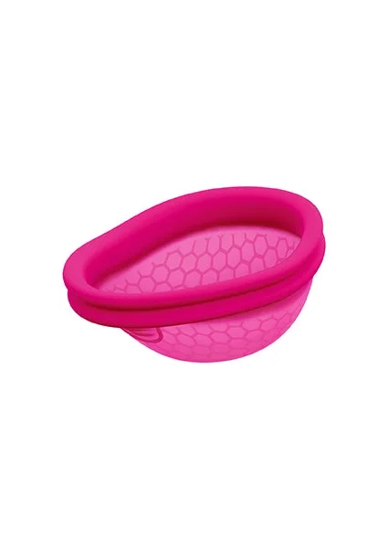 Intima Ziggy Cup 2