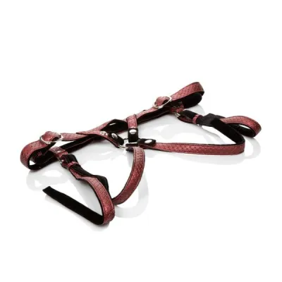 Her Royal Harness The Regal Duchess O S Red