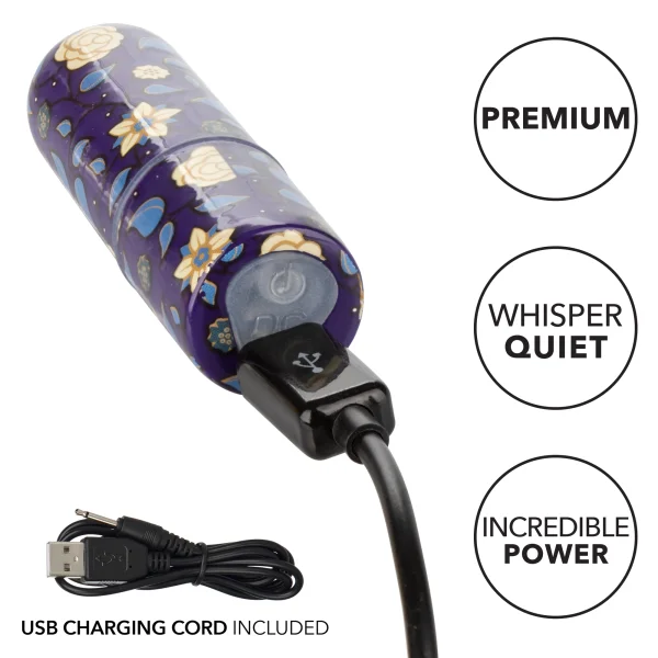 Naughty Bits Just the Tip Bullet Vibrator