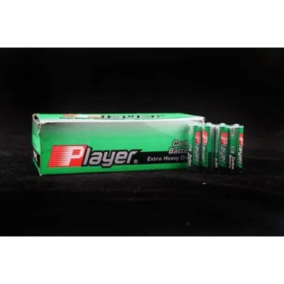 Player Extra Heavy Duty AA Batteries 60 Count Box