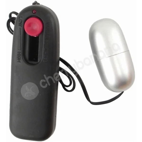 Jamie Lynn Cyberskin Vibrating Doll