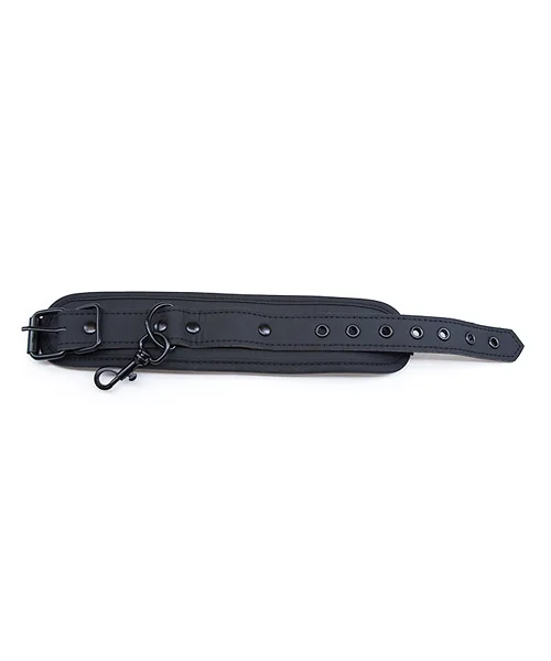X style door restraint system