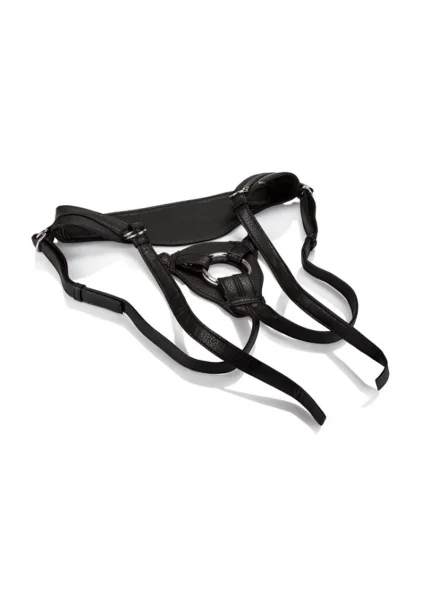 Her Royal Harness - The Queen