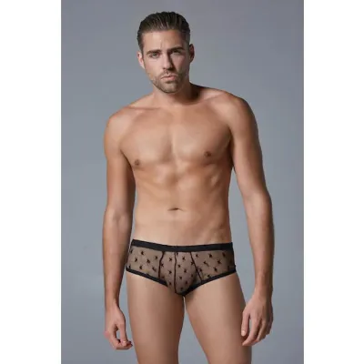 Luca Star Brief