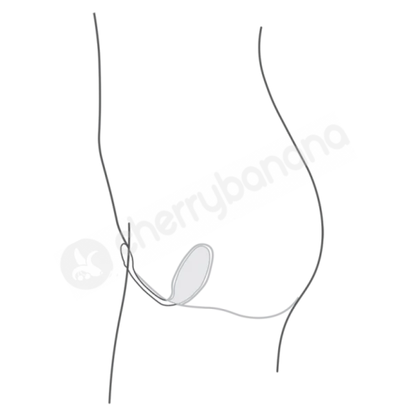 We-Vibe Jive App Controlled Love Egg Vibrator