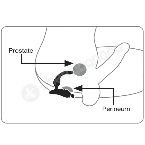 Rocks Off O-Boy Vibrating Prostate Massager