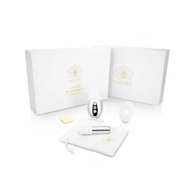 Le Wand Little Pleasures 6pc Collection le Wand Bullet point pin silicone Cover ring Storage Bag