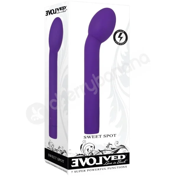 Evolved Sweet Spot Purple Powerful G-Spot Vibrator
