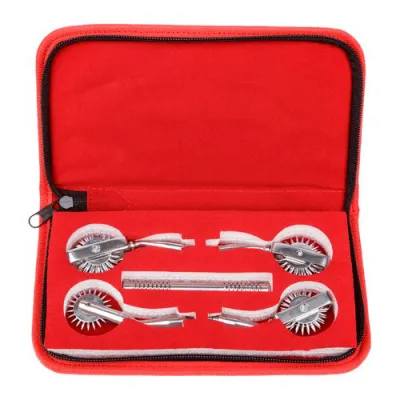 Torment Stainless Steel Wartenberg Pinwheel Set with Case