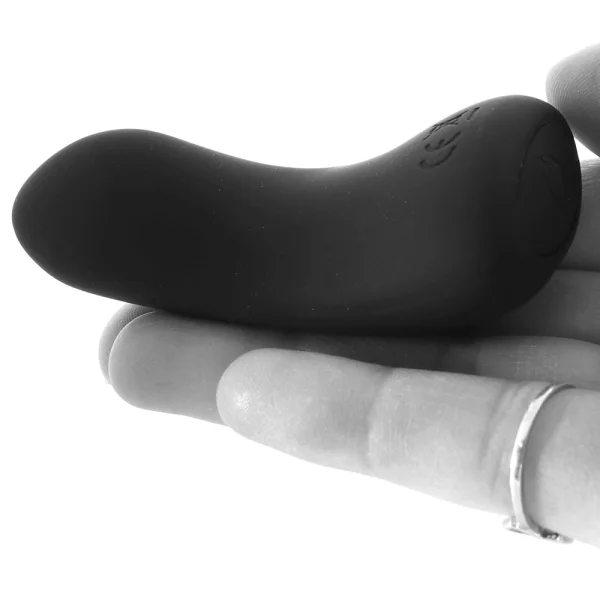 Hidden Pleasure - Remote Controlled Vibrating Panty