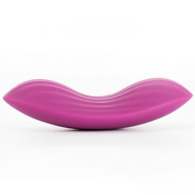 Svakom Edeny App Controlled Rechargeable Panty Vibrator