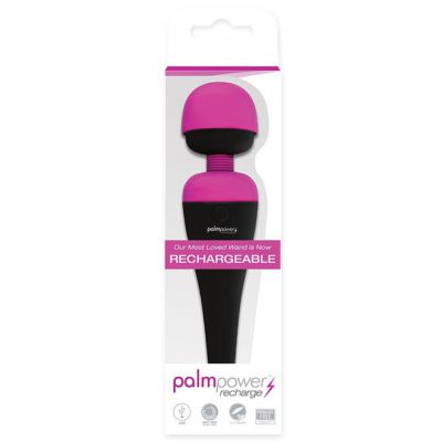 Palm Power Wand Rechargeable