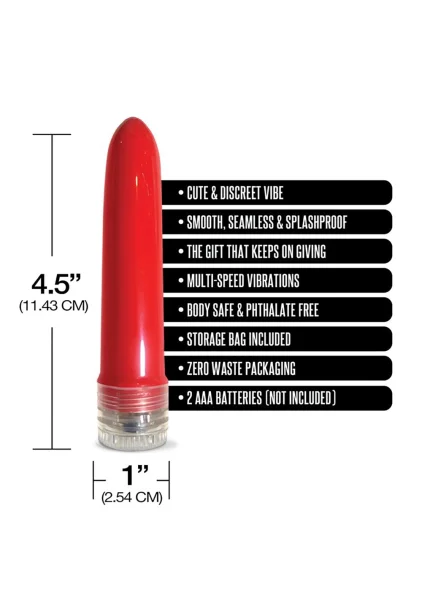 Pleasure Package I Didn't Know Your Size - 4" Multi-speed Vibe