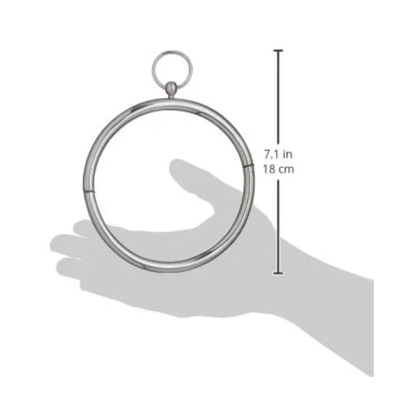 Rouge Stainless Steel Collar — image 4 of 7