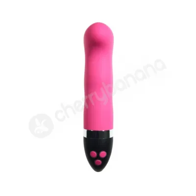 Duo Obsessions Lavish Pink Vibrator