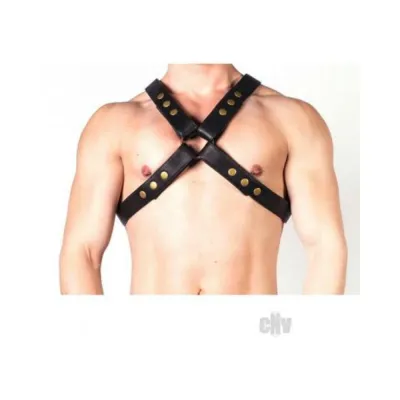 Prowler Red X Harness Blk brs Lg