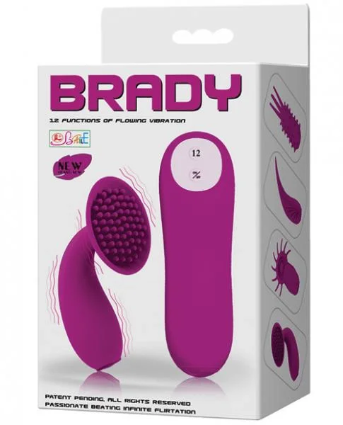 Pretty Love Brady 12 Functions Vibration Silicone Purple