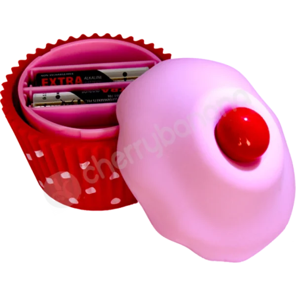 Shiri Zinn Pink Cupcake Vibrator