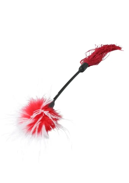 Whip and Tickle — image 6 of 25