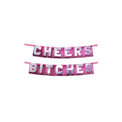 Bachelorette Party Favors Cheers Bitches Party Banner Pink