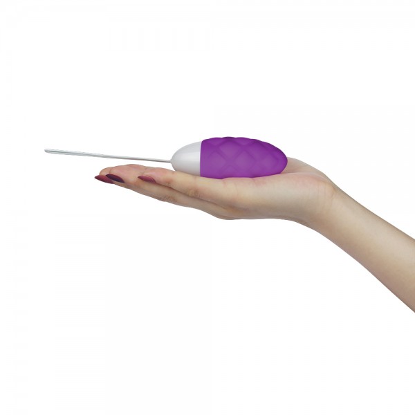iJOY Remote Control Egg Vibrator