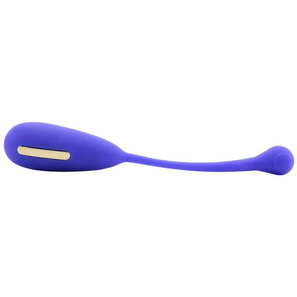 Impulse Intimate E-Stimulator Remote Kegel Exerciser