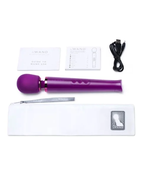 Le Wand Petite Rechargeable Massager  - Flesh - 9 Inch