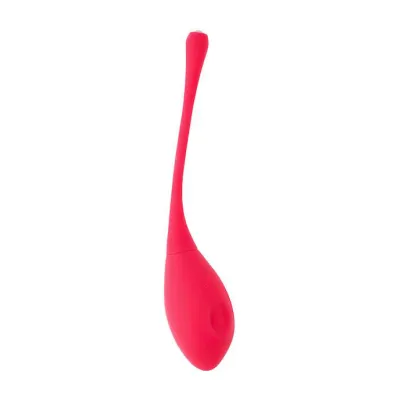 Eyden Vibrating Kegel Egg 7 6 Inch
