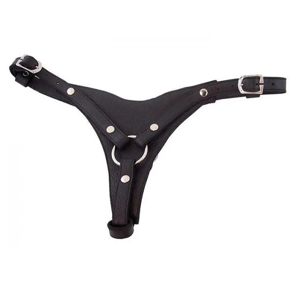 Rouge Female Dildo Harness Black