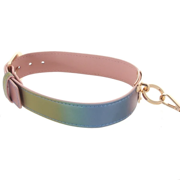 Spectra Bondage Collar & Leash