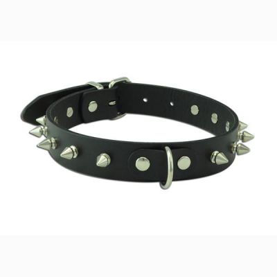 Spike D Ring Collar