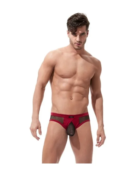 Gregg Homme - X-Rated Maximizer Mesh Brief — image 5 of 8