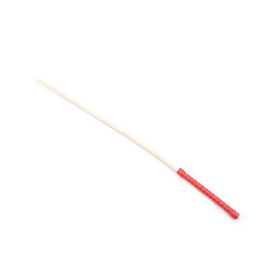 Sturdy Discipline Cane Red