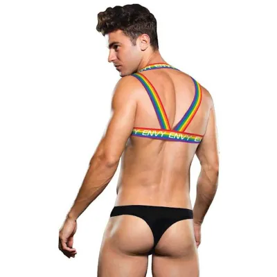 Envy Rainbow Harness Sm Bx
