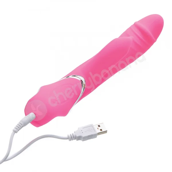 Adam & Eve The Dancing Dolphin Vibrator