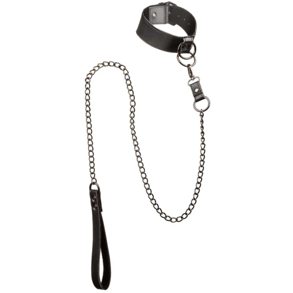 Euphoria Collection Collar With Chain Leash By CalExotics